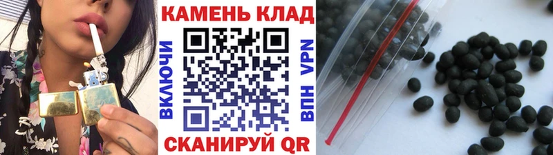ГАШ Premium Кувшиново