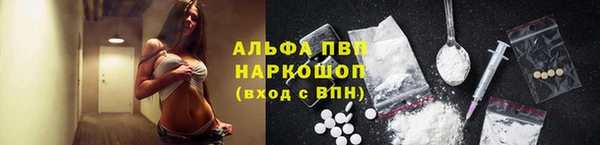 эйфоретик Магадан