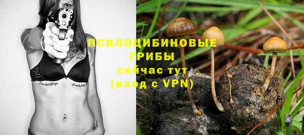 ПСИЛОЦИБИНОВЫЕ ГРИБЫ Майский