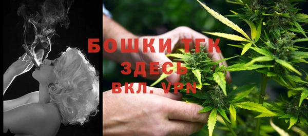 эйфоретик Магадан