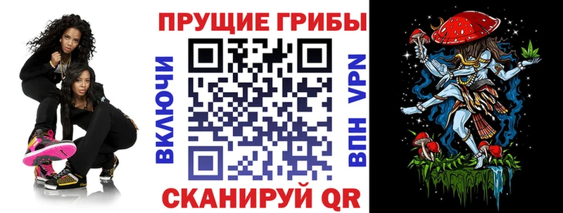 ОМГ ОМГ как зайти  Кувшиново  Псилоцибиновые грибы мицелий 